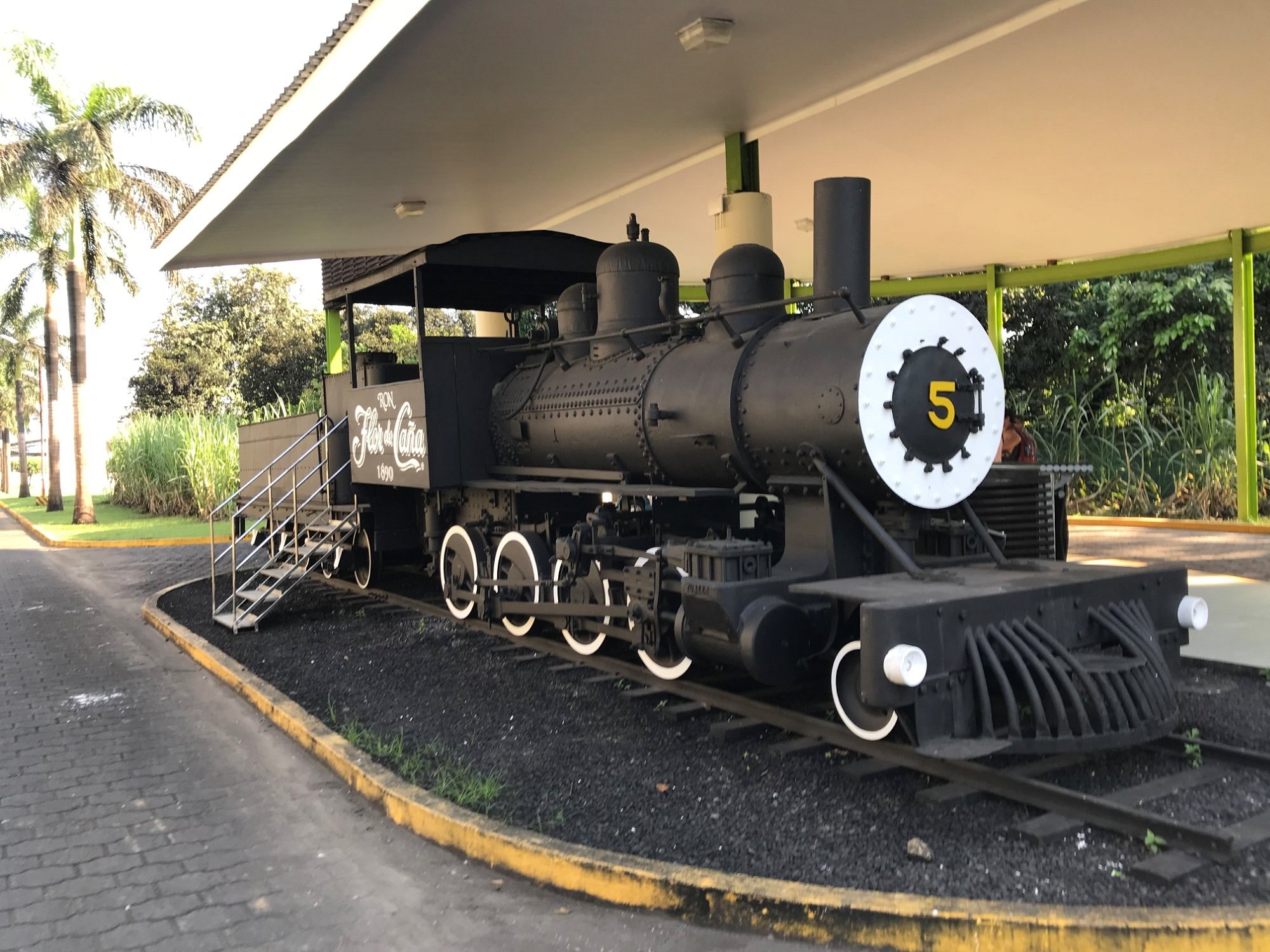 On the Flor de Caña distillery tour